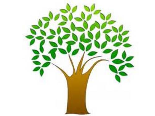 Clipart tree without leaves free clipart images