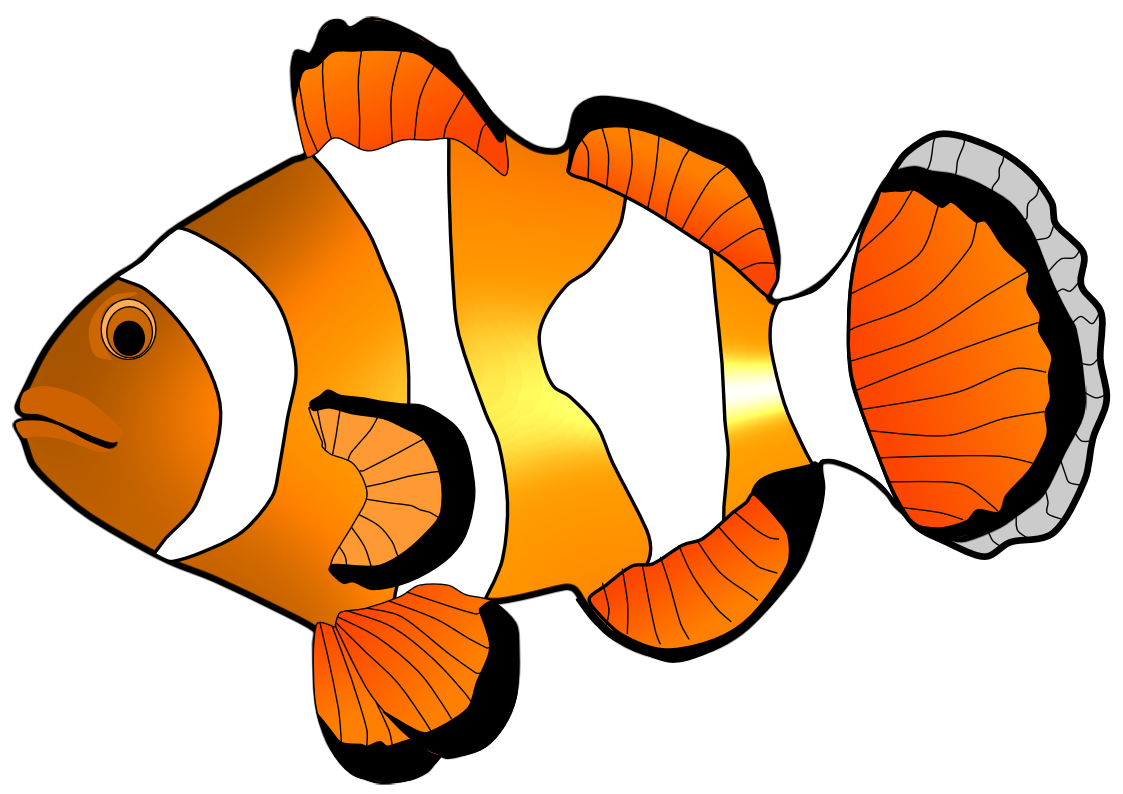 Clown fish illustration danaamab top clipart