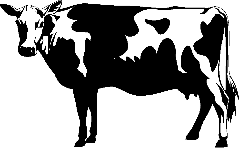 Cow clip art downloadclipart org 2