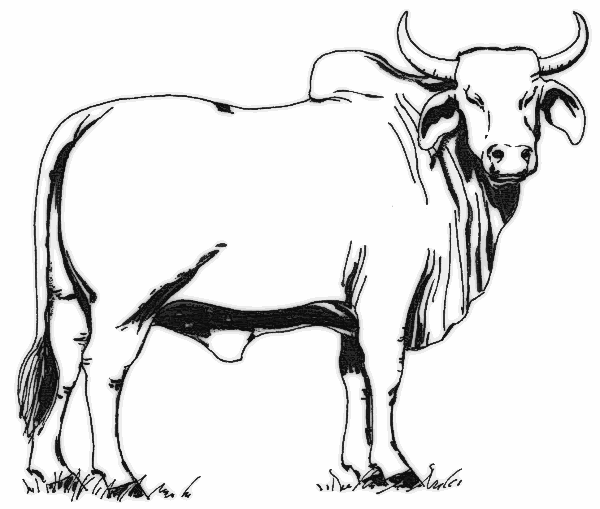 Cow clip art free holding a sign free clipart images 2 clipartix