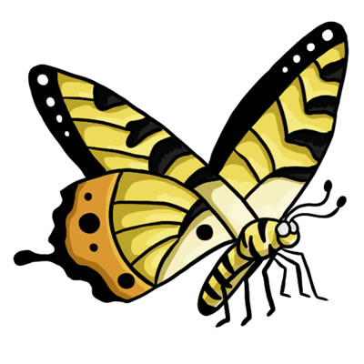 Free butterfly clip art drawings andlorful images 3