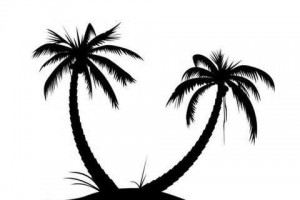 Hawaiian palm tree clip art free clipart images clipartix