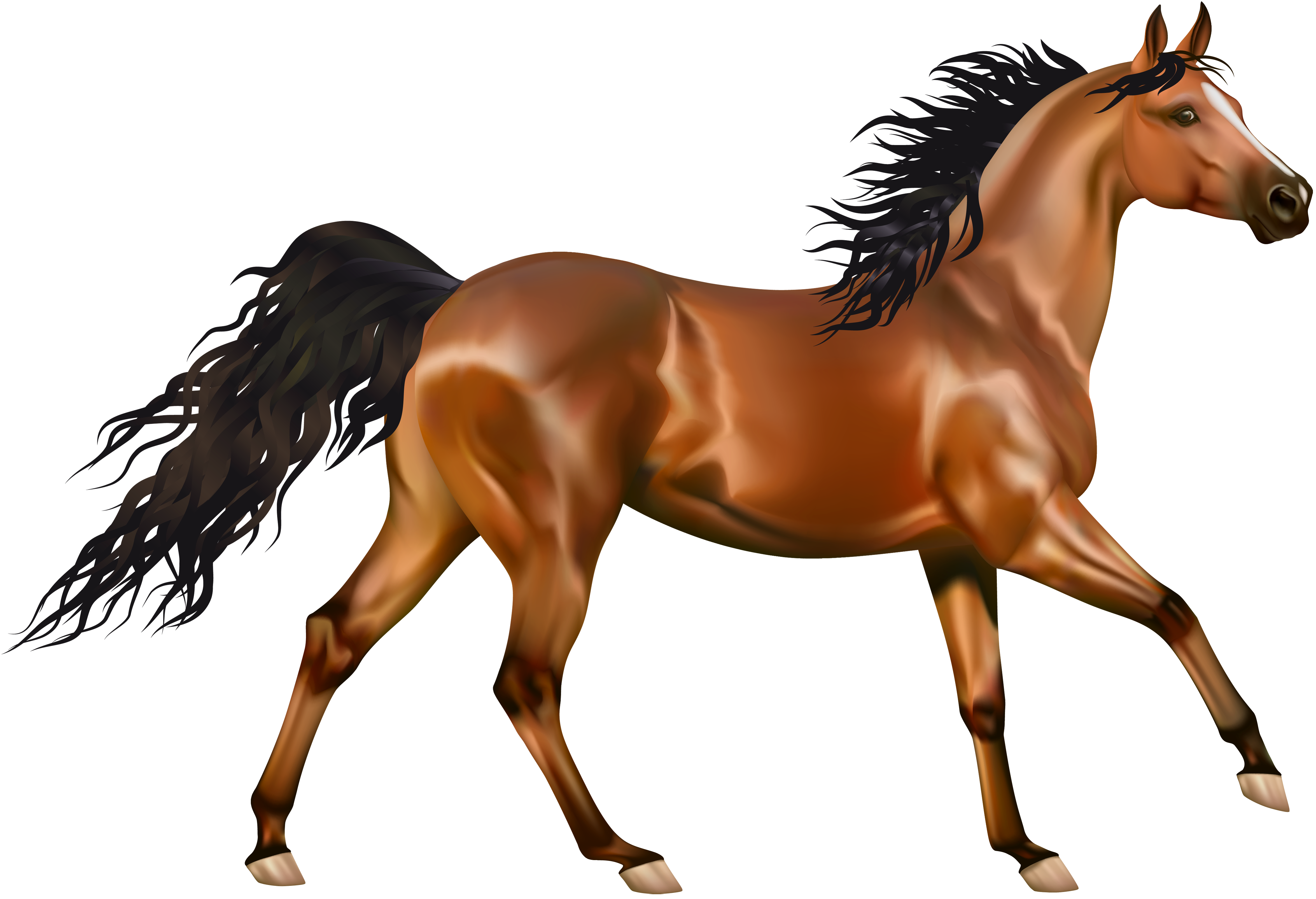 Horse equestrian clip art clipartiki