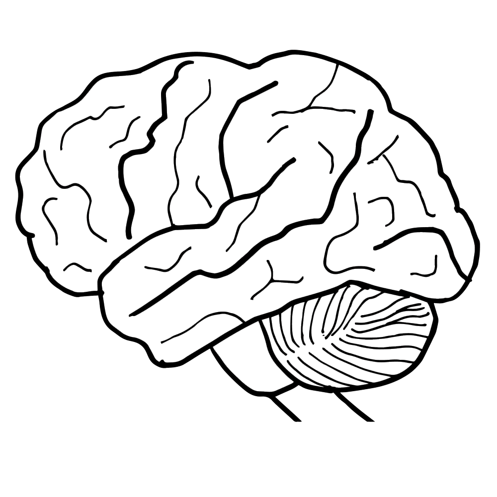 Human brain clipart