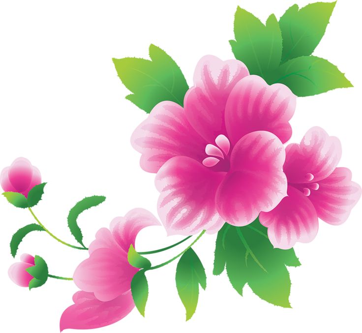 Large pink flowers clipart clipart pink flowers