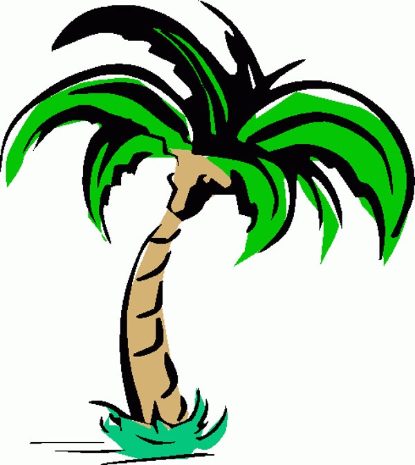 Palm tree art tropical palm trees clip art clip art palm tree 5