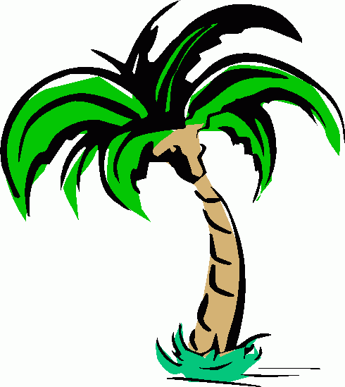 Palm tree art tropical palm trees clip art clip art palm tree 6