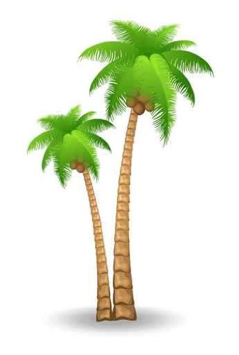 Palm tree art tropical palm trees clip art go back images for 3 3
