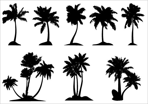 Palm tree clip art 1
