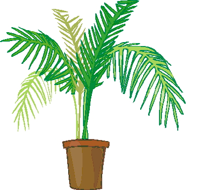 Palm tree clip art 7