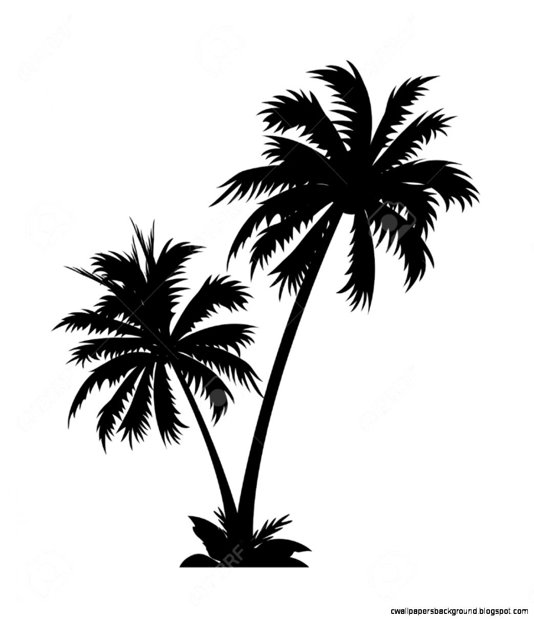 Palm tree clip art wallpapers background