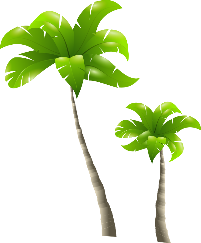 Palm tree free to use clip art