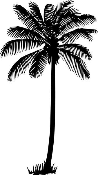 Palm tree palm silhouette clipart clipartcow
