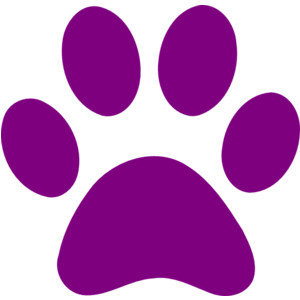 Paw print wildcats on dog paws dog paw tattoos and clip art image 4