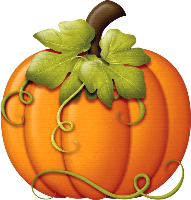 Pumpkin clipart clipart cliparts for you 3