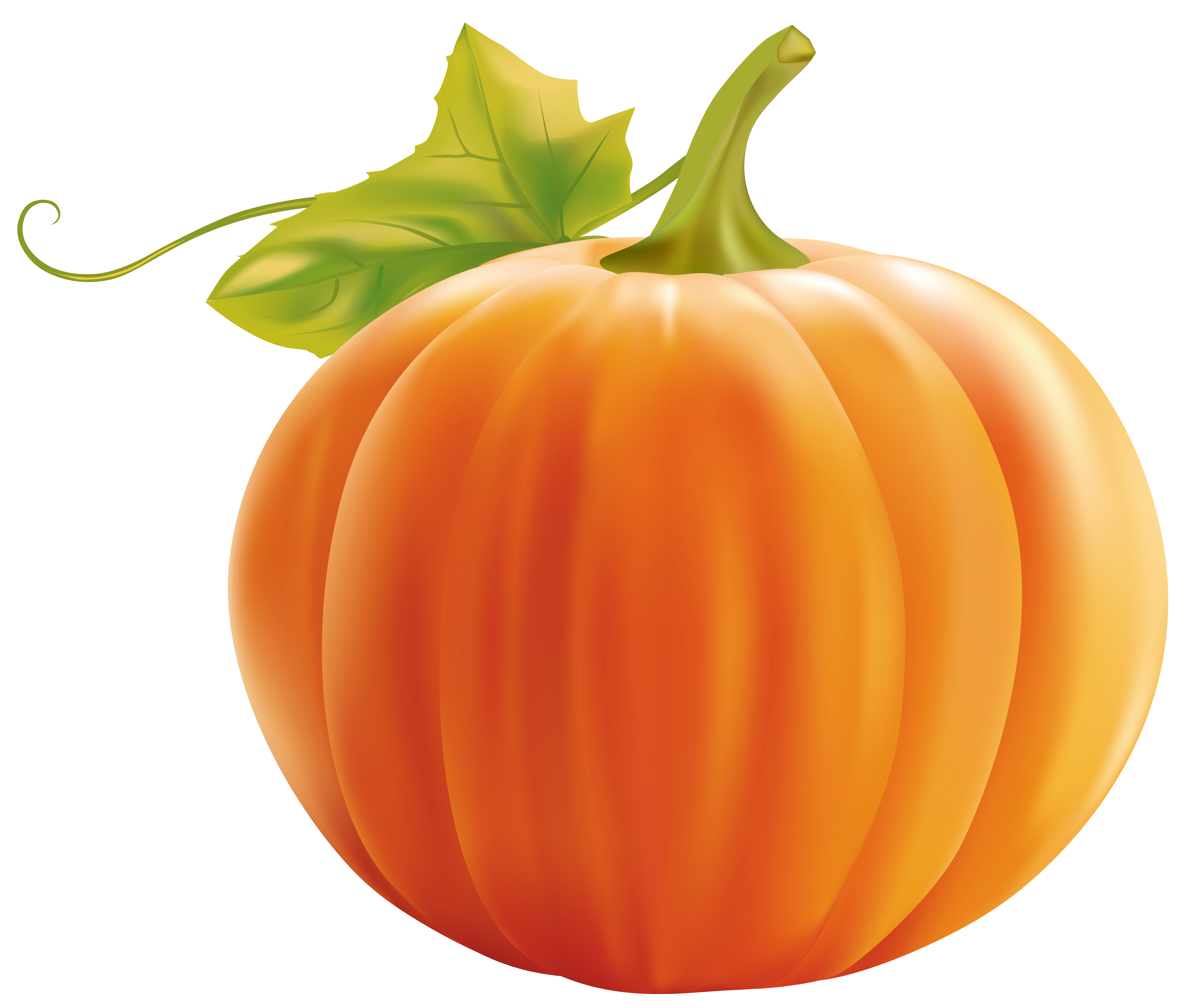 Pumpkin clipart image