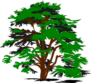 Simple tree clip art at clker vector clip art