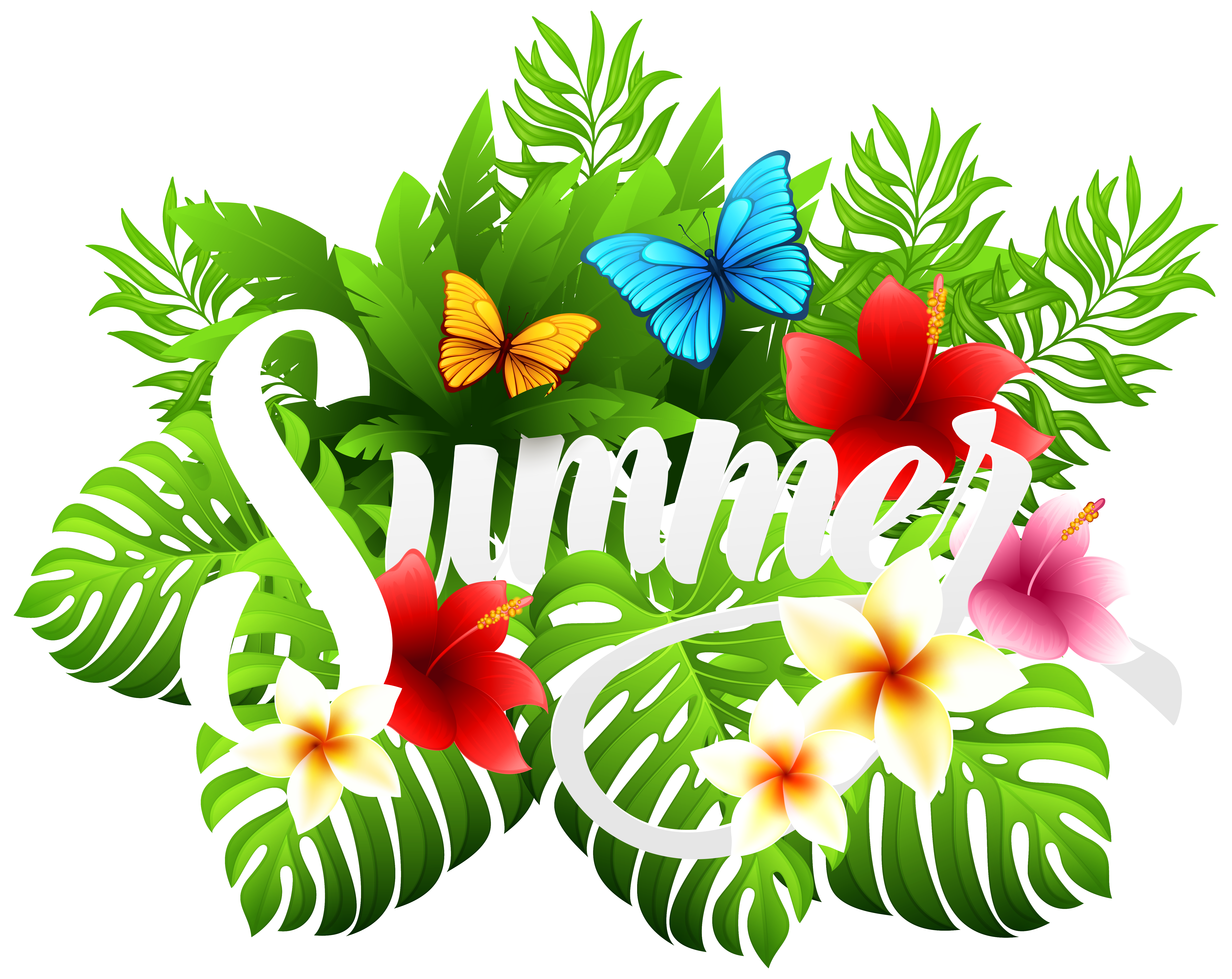 Summer decorative image clipart