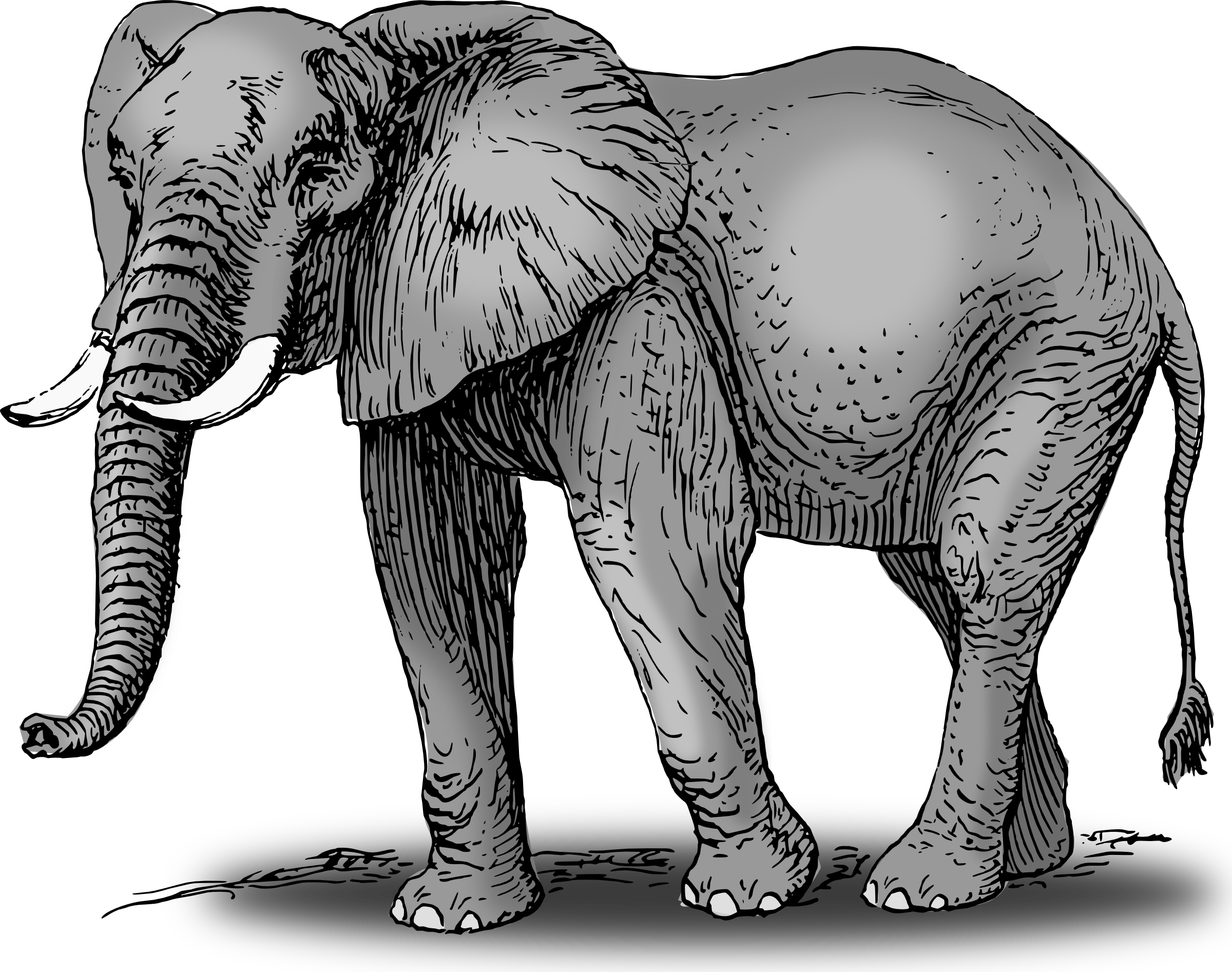 Top elephant clip art images and pictures download free 3 image 2