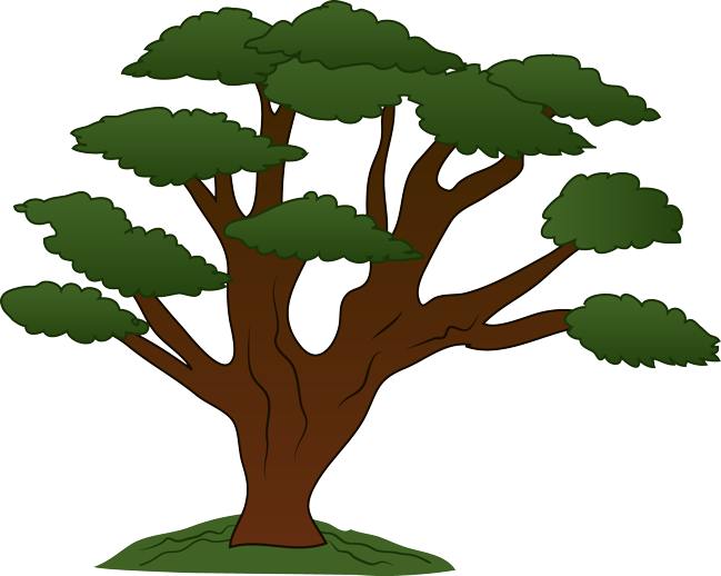 Tree clipart clipart cliparts for you 2