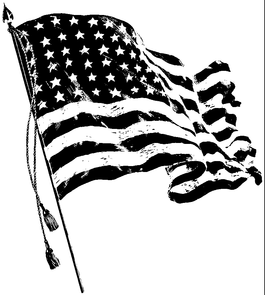 Usa flag black and white black and white american flag american clipart