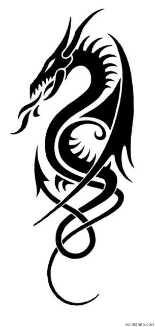 Ackeg rd gallery black dragon clipart clipart