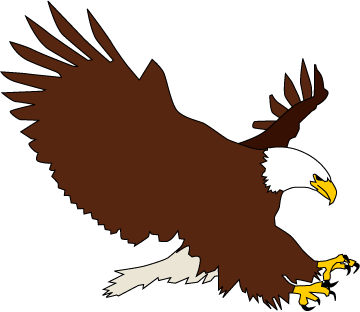 Bald eagle clip art related keywords