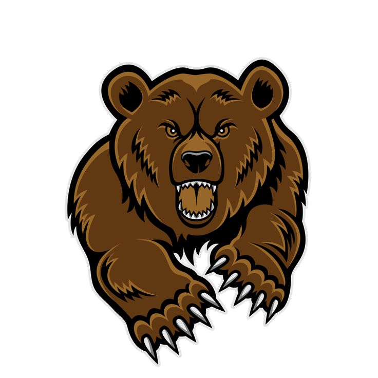 Bear mascot clipart bears grizzly