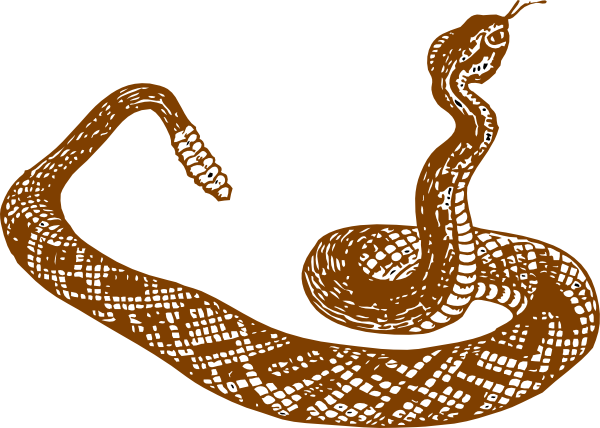 Brown rattle snake clip art at clker vector clip art