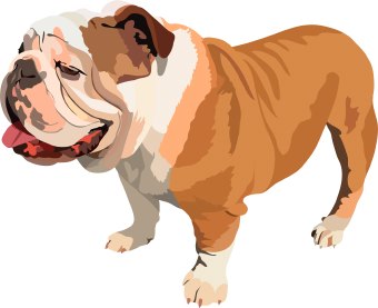 Bulldog china clip art vector clip clipartix