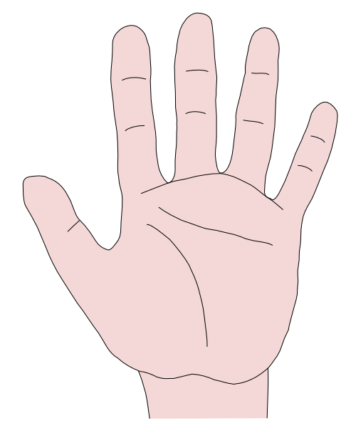 Closed hand clipart clipart kid