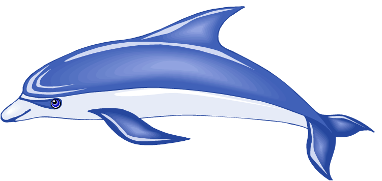 Cute dolphin clipart animals clip art downloadclipart org