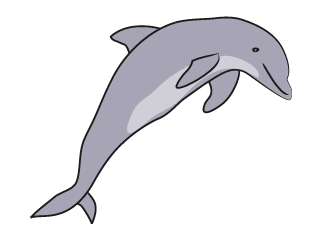 Cute dolphin clipart free clipart images