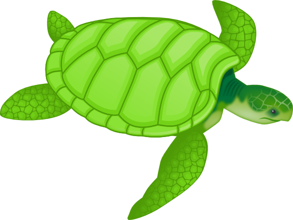 Cute free clipart site singing time turtles clip image 6 3