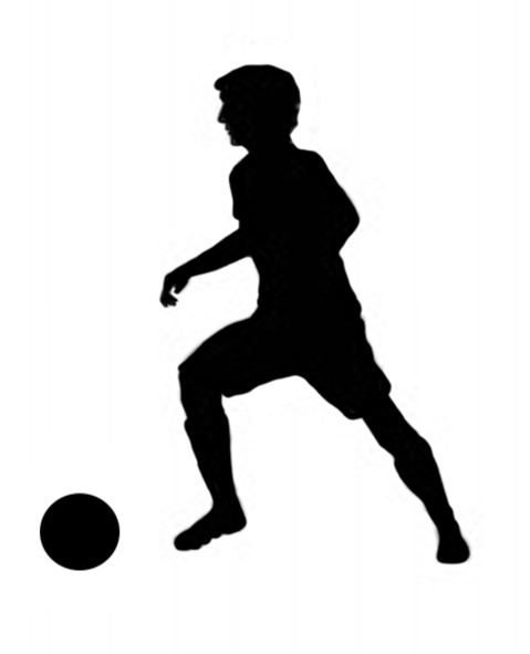 Different kinds of sports clipart