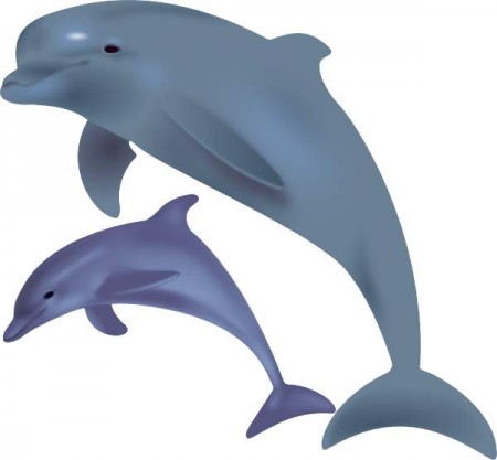 Dolphin clipart all post dolphin clipart by topimages org