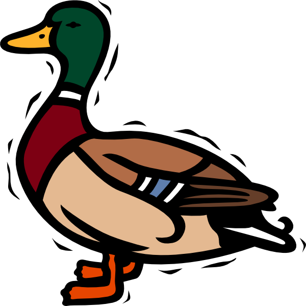 Duck clip art images illustrations photos
