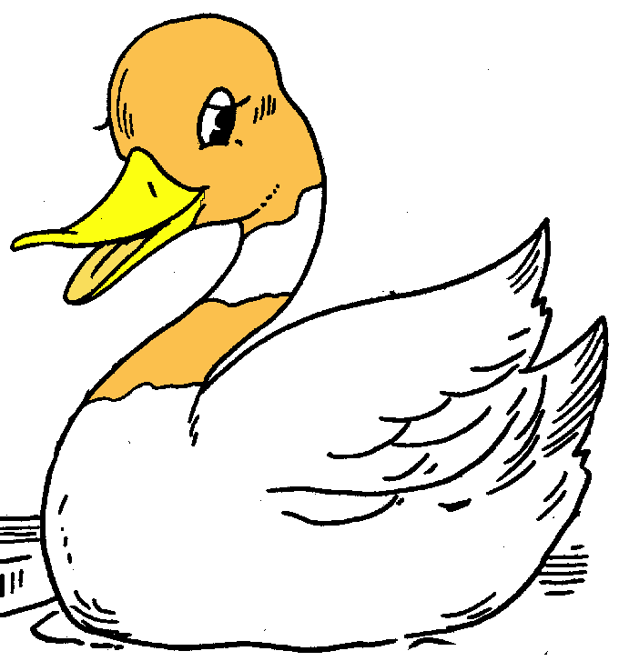 Duck clip art
