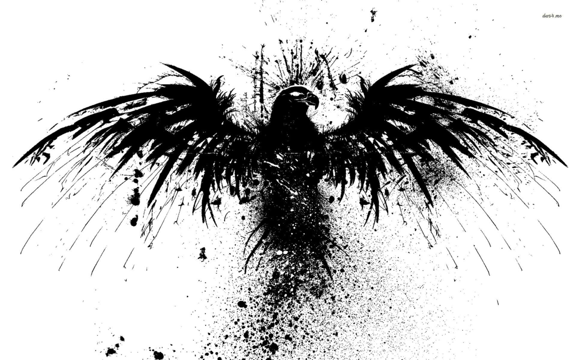 Eagle clip art image