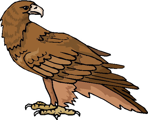 Eagle clip art with raised wings free clipart images 4