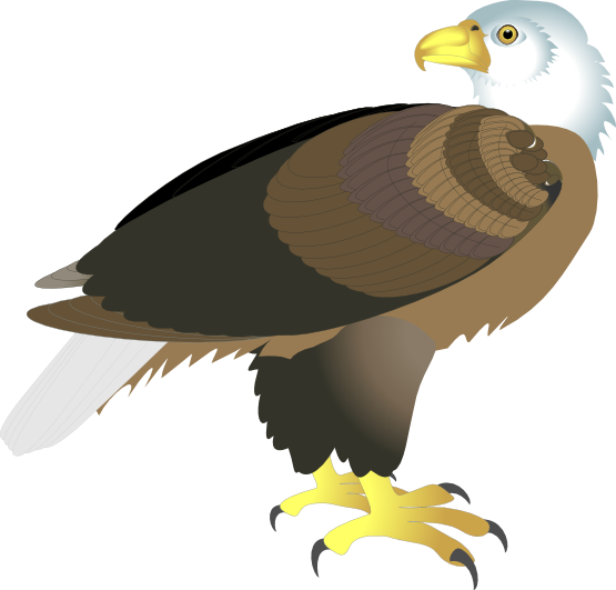 Eagle free to use clip art 2