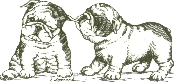 English bulldog clipart cliparts and others art inspiration 2