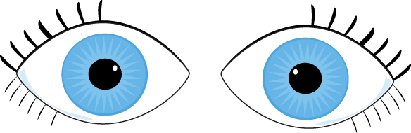 Eyeball eye clip art clipart image
