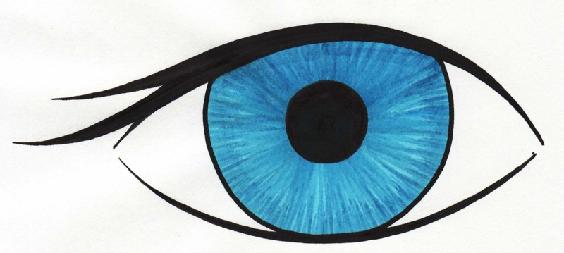 Eyeball human eye clip art free clipart images image