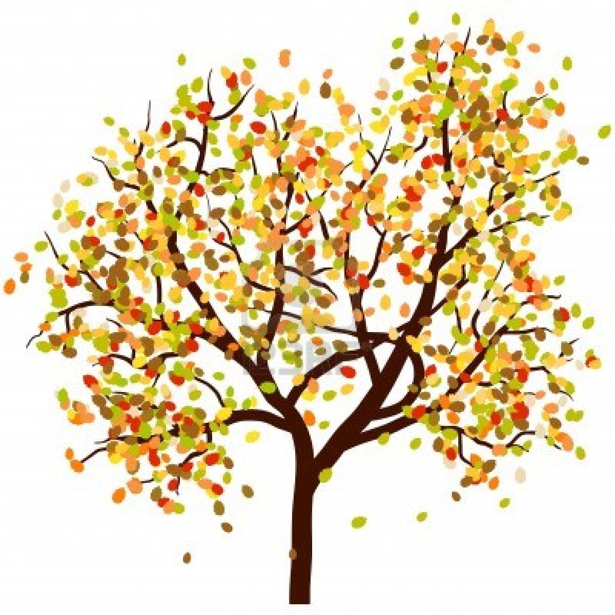 Fall leaves freeloring pages of fall leaf border clip art
