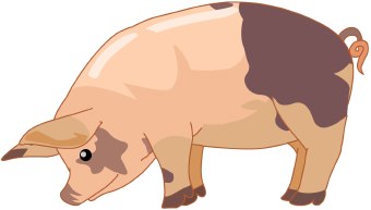 Free black and white pig clip art clipart image 4