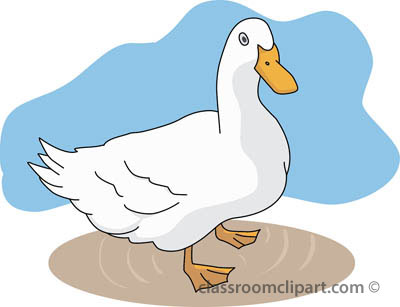 Free duck clipart clip art pictures graphics illustrations 2
