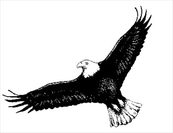 Free eagle clipart black and white eagle images clipart black