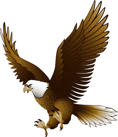 Free eagle images clipart
