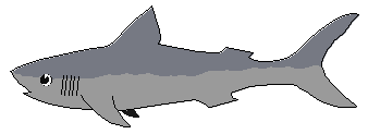 Free great white shark clipart 1 page of free to use images
